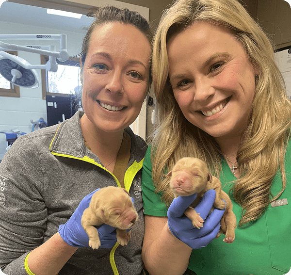 Two women wearing gloves hold newborn puppies and smile at the camera in a veterinary clinic setting.